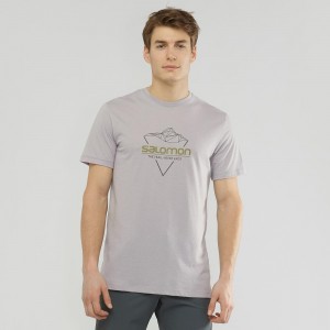 Salomon Blend Logo Tee M T-shirt Herr Gray | 45863-IYDF