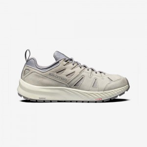 Salomon Odyssey Advanced Sneakers Herr Gray | 54768-DUTJ