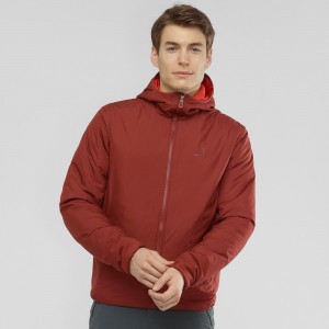 Salomon Outrack Insulated Hoodie Herr Röda | 01298-LRQA