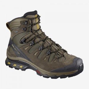 Salomon Quest 4D 3 Gtx Promenadkängor Herr Bruna | 63085-JSRH