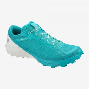 Salomon Sense Pro 4 Trail Löparskor Dam Blå | 57821-ZBLN