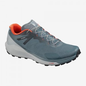 Salomon Sense Ride 3 Trail Löparskor Herr Gray | 38641-SHGI