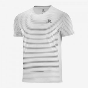 Salomon Sense Tee M Blast Herr Vita | 85723-LIDF