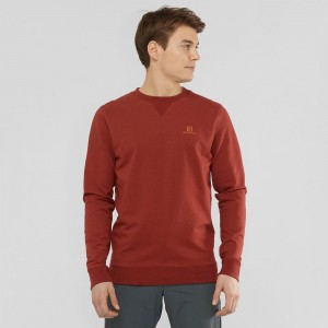 Salomon Shift Crewneck M Pullover Herr Röda | 94287-SCHO