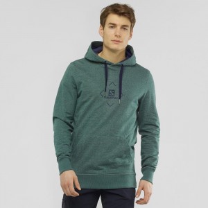 Salomon Shift Hoodie M Hoodie Herr Gröna | 38769-RKEM