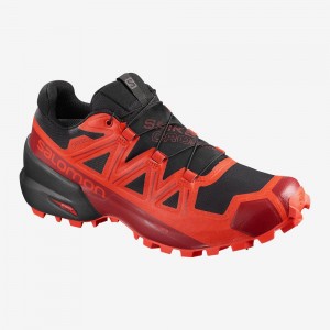 Salomon Spikecross 5 Gore-Tex Trail Löparskor Herr Svarta | 05237-TRCV