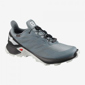 Salomon Supercross Blast Gtx Trail Löparskor Herr Gray | 38491-HECM