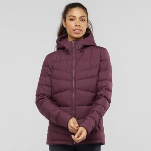 Salomon Transition Down Hoodie W Jacka Dam Lila | 60783-HTZI