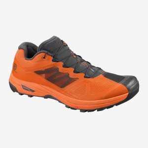 Salomon X Alpine Pro Trail Löparskor Herr Orange | 54219-DBSV