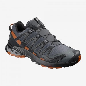 Salomon Xa Pro 3D V8 Gore-Tex Trail Löparskor Herr Gray | 01437-LNIQ