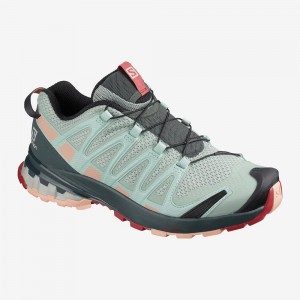 Salomon Xa Pro 3D V8 Trail Löparskor Dam Gray | 47980-HYZG