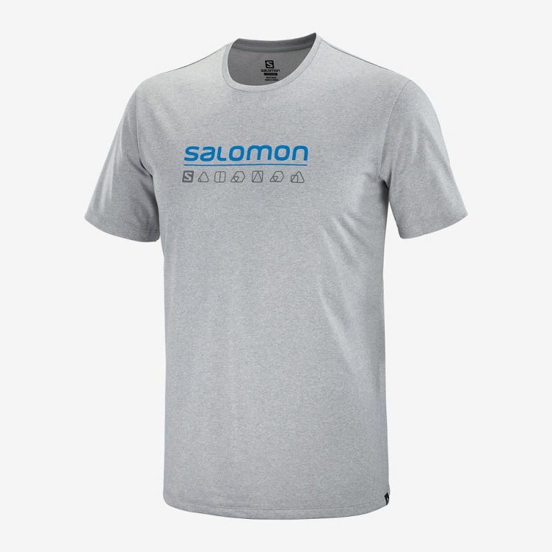 Salomon Agile Tryck Tee M Blast Herr Gray | 47819-CIMW