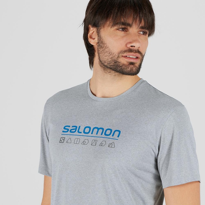 Salomon Agile Tryck Tee M Blast Herr Gray | 47819-CIMW