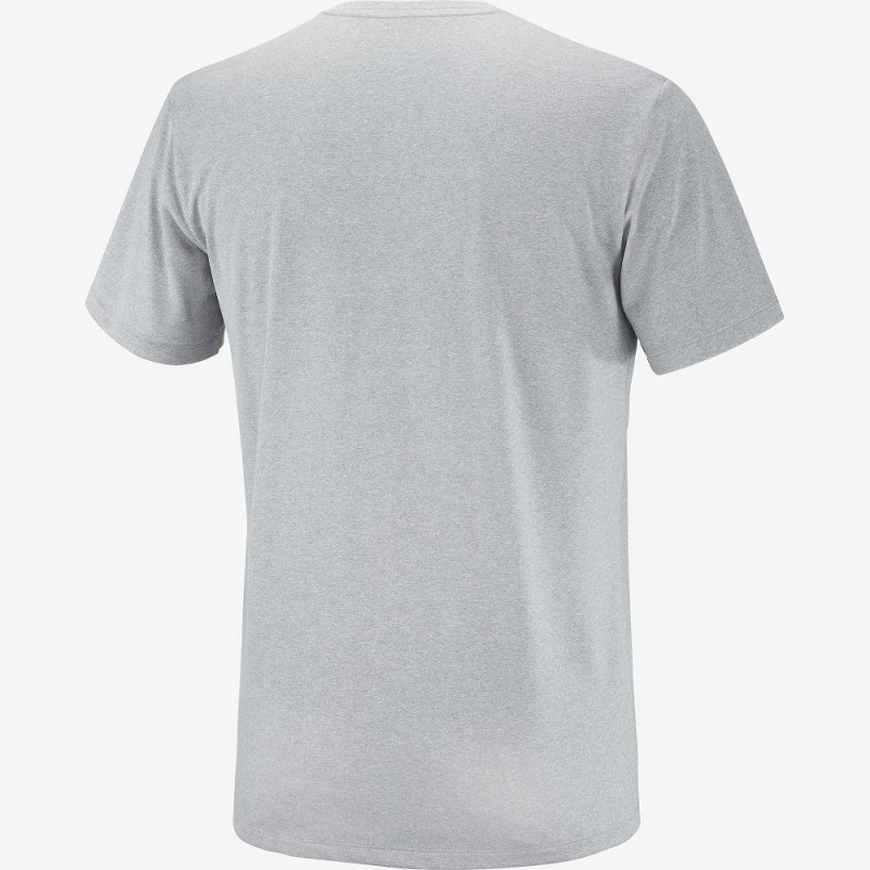 Salomon Agile Tryck Tee M Blast Herr Gray | 47819-CIMW