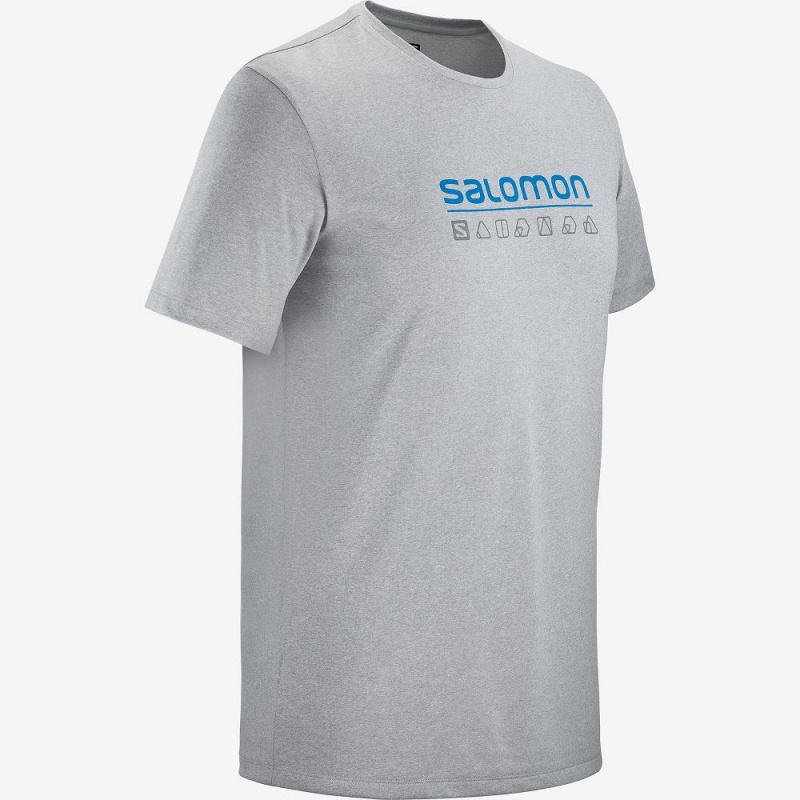 Salomon Agile Tryck Tee M Blast Herr Gray | 47819-CIMW