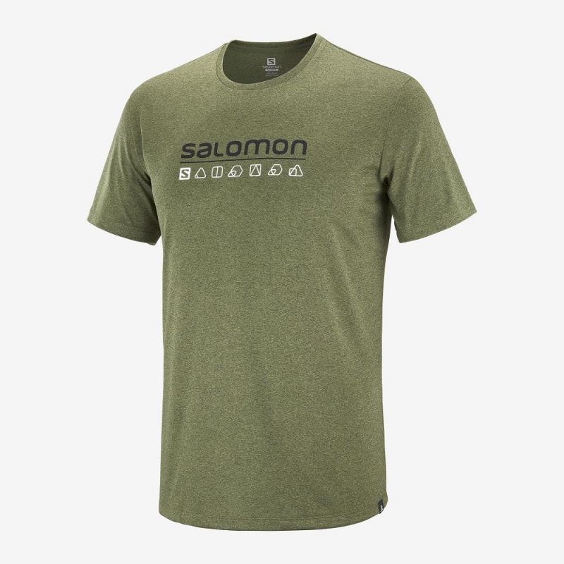 Salomon Agile Tryck Tee M Blast Herr Gröna | 04726-COMP