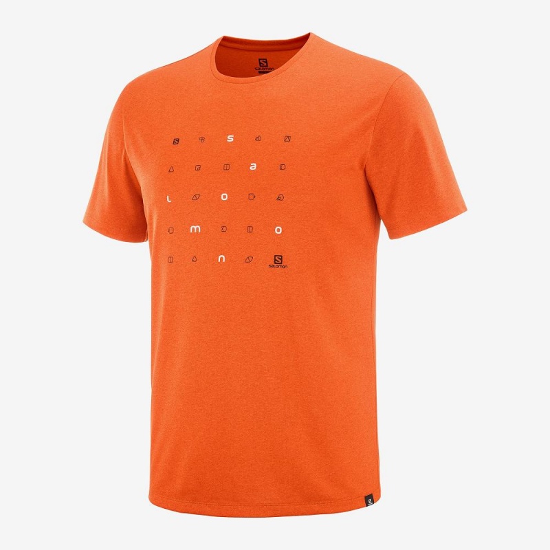 Salomon Agile Tryck Tee M Blast Herr Orange | 14852-JSIN