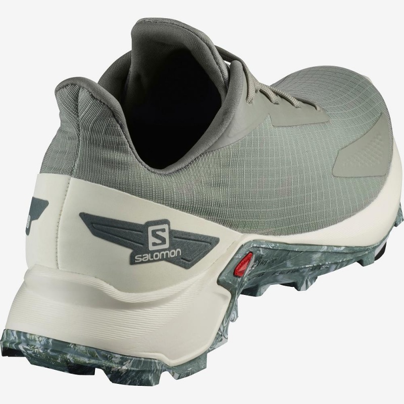 Salomon Alphacross Blast Causal Skor Herr Gray | 13026-AWCD