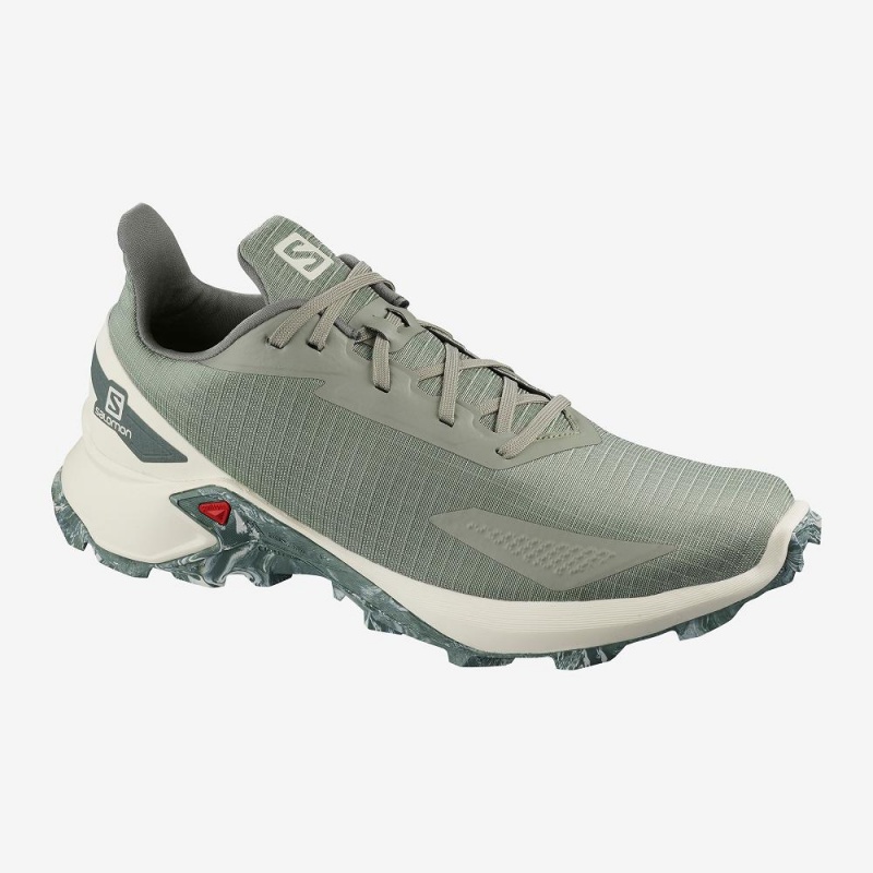 Salomon Alphacross Blast Causal Skor Herr Gray | 13026-AWCD