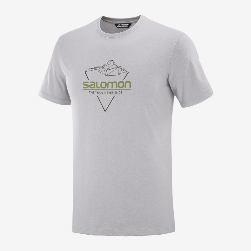 Salomon Blend Logo Tee M T-shirt Herr Gray | 45863-IYDF