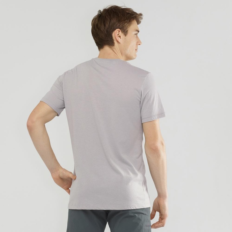 Salomon Blend Logo Tee M T-shirt Herr Gray | 45863-IYDF