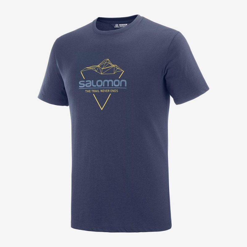 Salomon Blend Logo Tee M T-shirt Herr Marinblå | 76312-PDLC