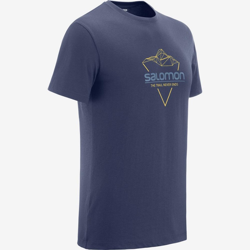 Salomon Blend Logo Tee M T-shirt Herr Marinblå | 76312-PDLC