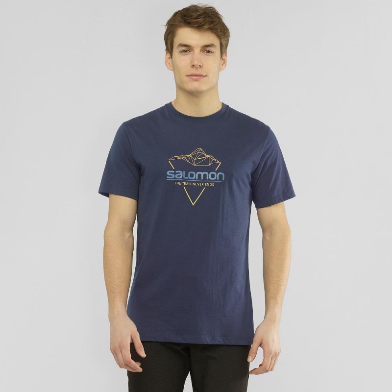 Salomon Blend Logo Tee M T-shirt Herr Marinblå | 76312-PDLC