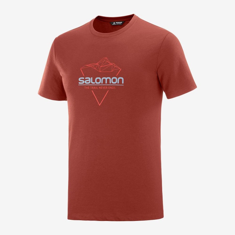 Salomon Blend Logo Tee M T-shirt Herr Röda | 98370-NCUF