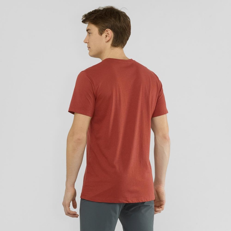 Salomon Blend Logo Tee M T-shirt Herr Röda | 98370-NCUF