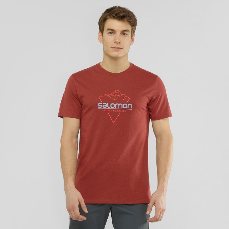 Salomon Blend Logo Tee M T-shirt Herr Röda | 98370-NCUF