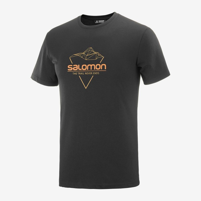 Salomon Blend Logo Tee M T-shirt Herr Svarta | 84126-RKIQ