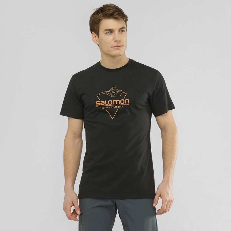 Salomon Blend Logo Tee M T-shirt Herr Svarta | 84126-RKIQ