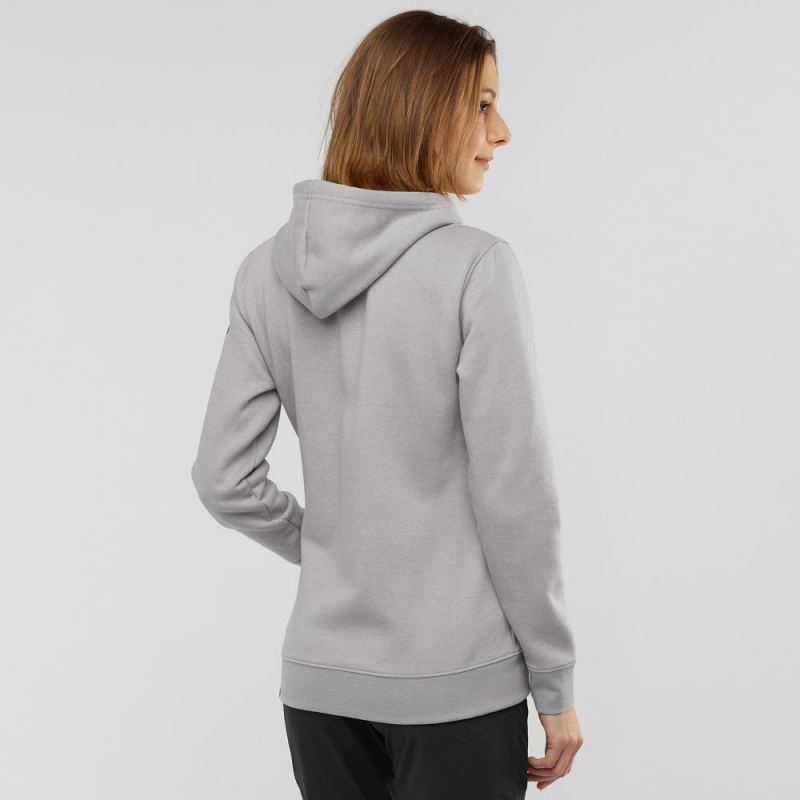 Salomon Essential Warm Hoodie Dam Gray | 31670-CKRG