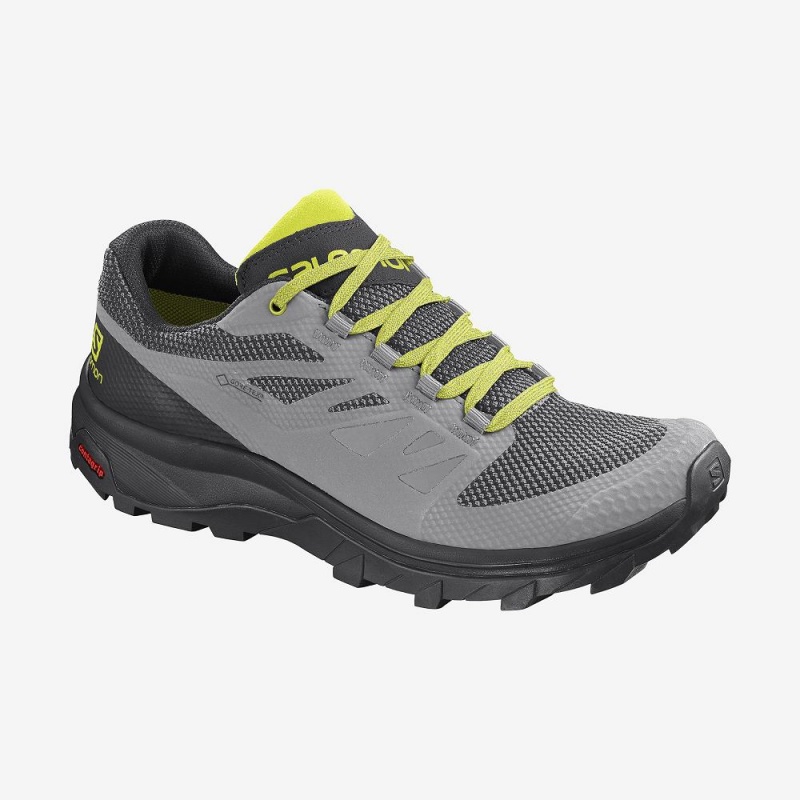 Salomon Outline Gore-Tex Trekking Herr Silver | 39547-GTDW