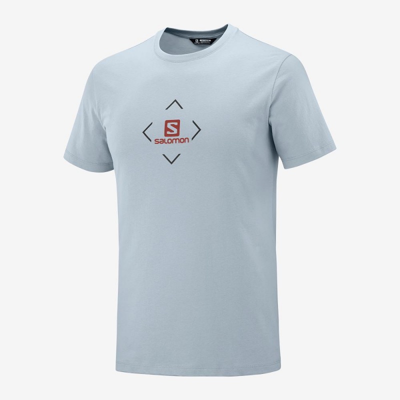 Salomon Salomon Bomull Tee M T-shirt Herr Blå | 65780-EVRS