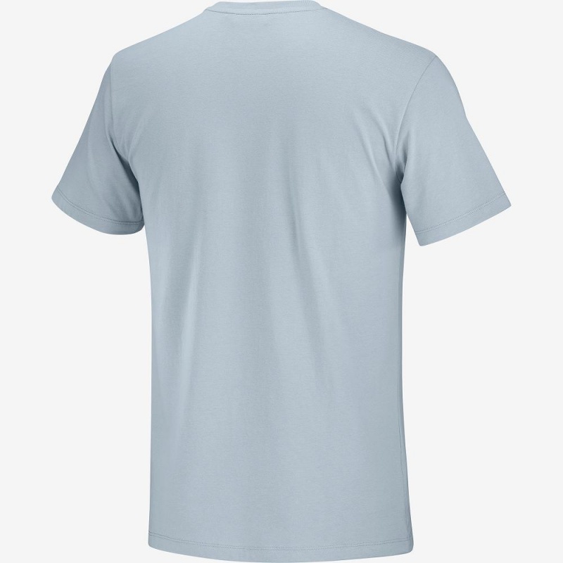 Salomon Salomon Bomull Tee M T-shirt Herr Blå | 65780-EVRS