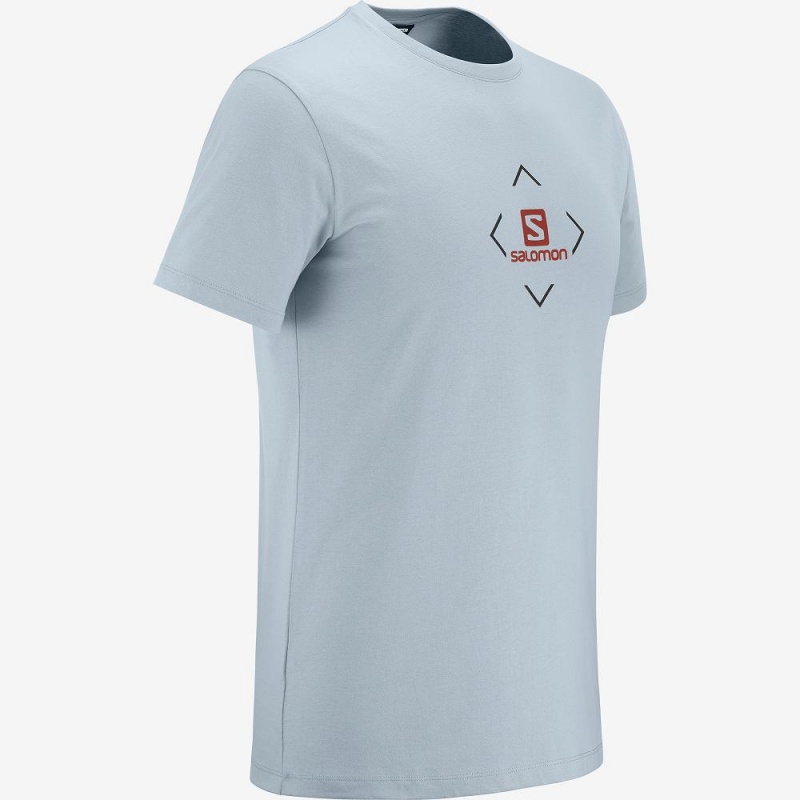 Salomon Salomon Bomull Tee M T-shirt Herr Blå | 65780-EVRS