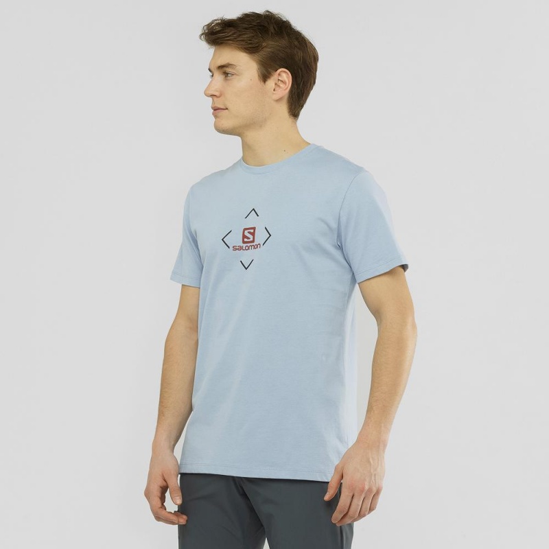 Salomon Salomon Bomull Tee M T-shirt Herr Blå | 65780-EVRS