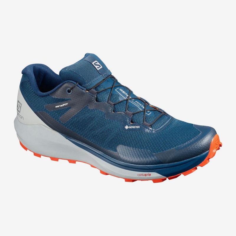 Salomon Sense Ride 3 Gtx Invis. Fit Trail Löparskor Herr Blå | 23406-DHNC