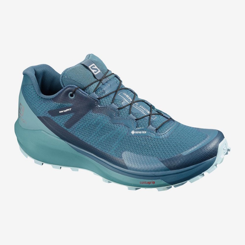 Salomon Sense Ride 3 Gtx Invis. Fit W Trail Löparskor Dam Blå | 14970-USMQ