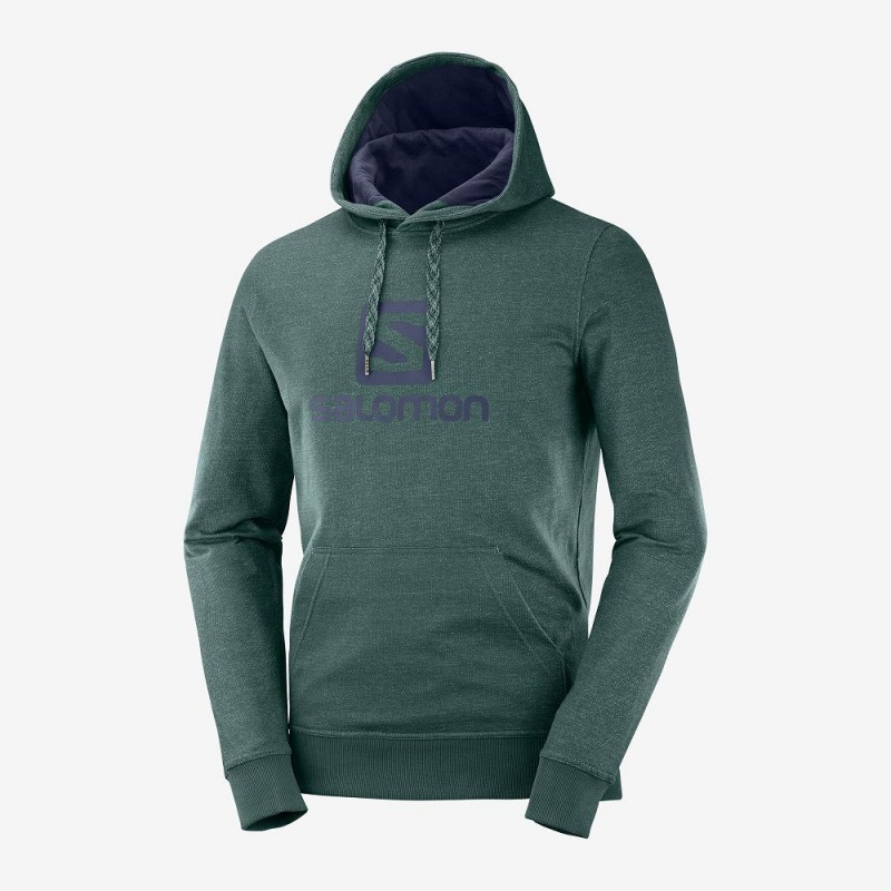 Salomon Shift Hoodie M Hoodie Herr Gröna | 53064-PCAM