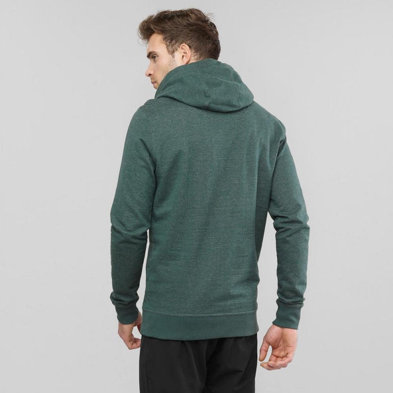 Salomon Shift Hoodie M Hoodie Herr Gröna | 53064-PCAM