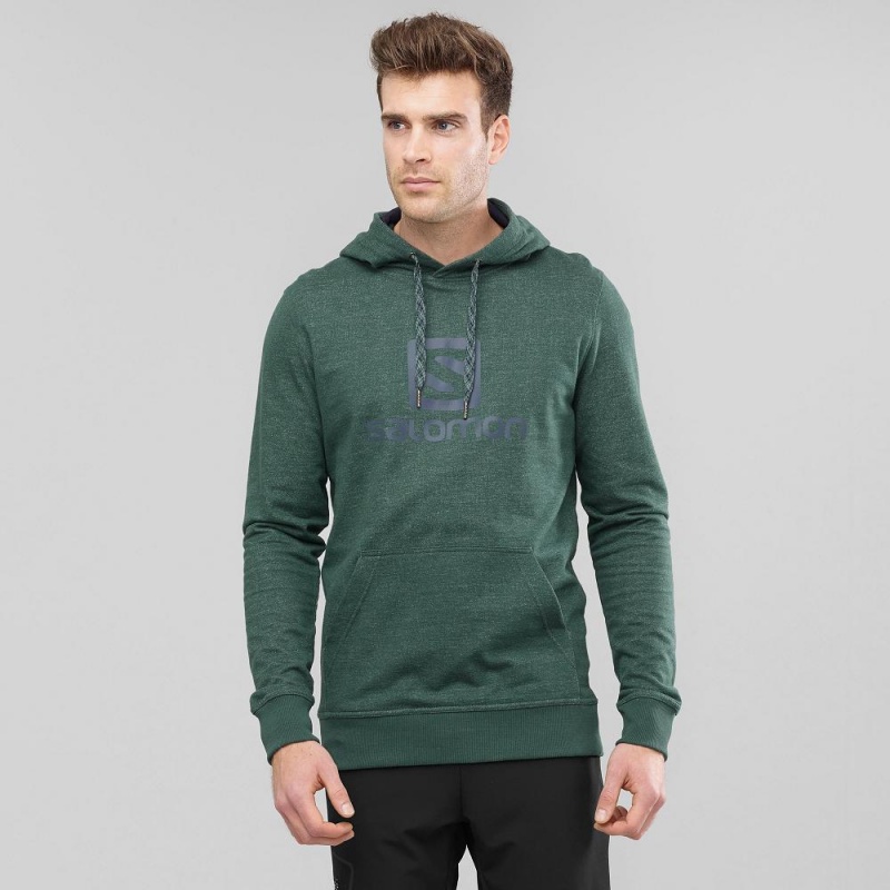 Salomon Shift Hoodie M Hoodie Herr Gröna | 53064-PCAM