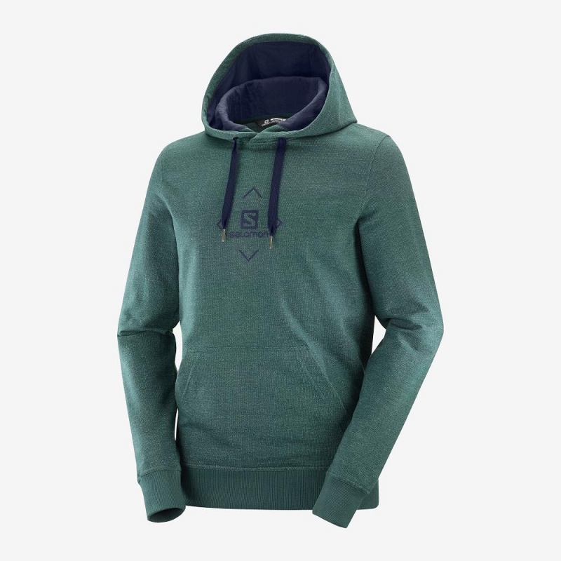 Salomon Shift Hoodie M Hoodie Herr Gröna | 38769-RKEM