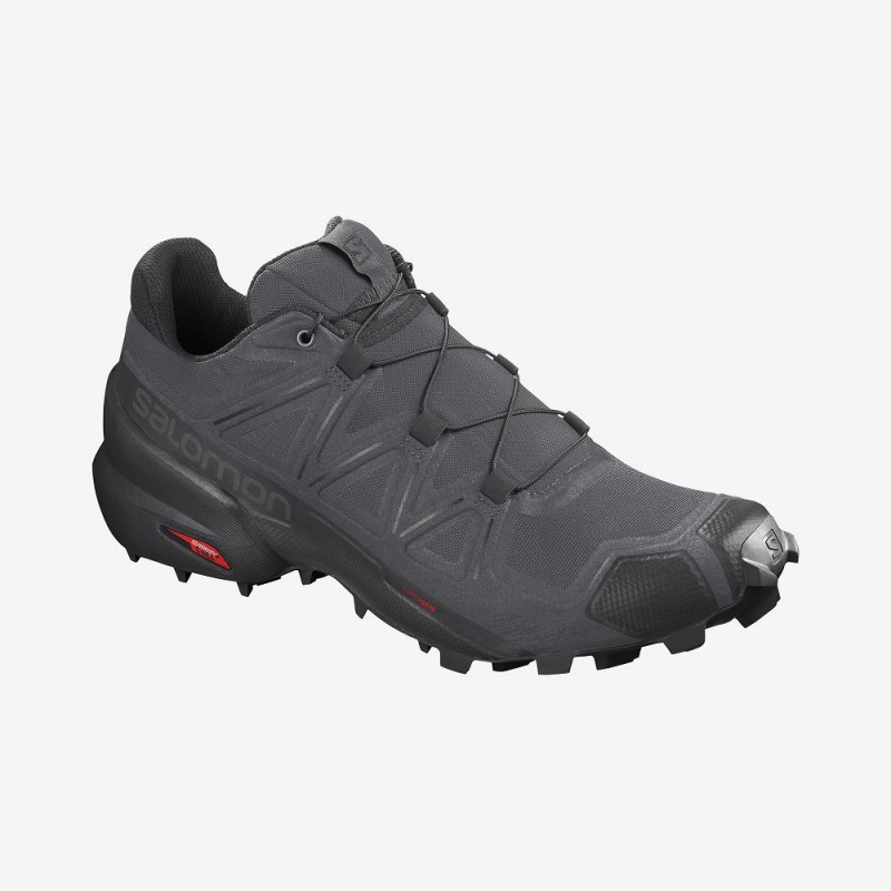 Salomon Speedcross 5 Trail Löparskor Herr Gray | 59124-HFEC