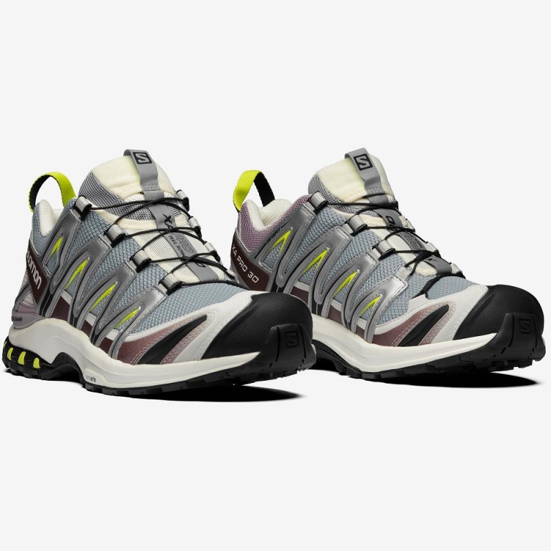 Salomon Xa Pro 3D Sneakers Herr Gray | 01984-JMUD