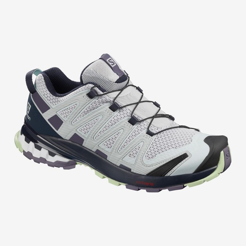 Salomon Xa Pro 3D V8 Trail Löparskor Dam Gray | 43789-JPCO